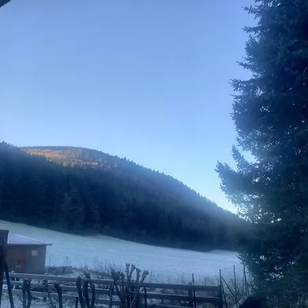 App F2 44 M² Au Rez-De-Chaussee 아파트 Rochesson