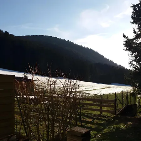 App F2 44 M² Au Rez-de-chaussee 公寓 *