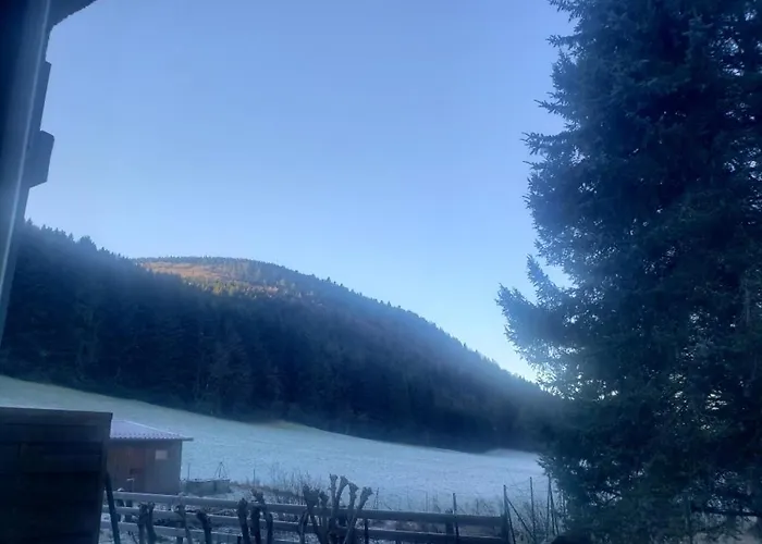 App F2 44 M² Au Rez-De-Chaussee 아파트 Rochesson